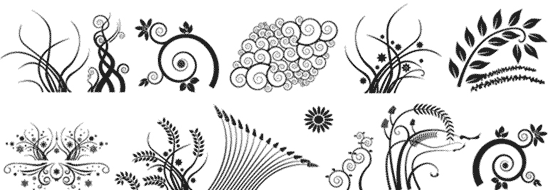 растительный орнамент, флора в векторе, векторный силуэт